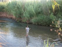 Banias