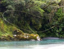 Untouched ancient rainforests