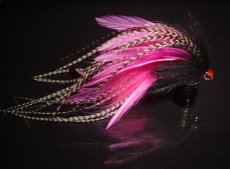 Baltic Musky Flies - Article
