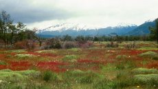 A Puzzle As Big as Cheops-Article