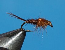 Baetis nymph before it is ready to emerge