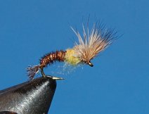 Ermgering Baetis 1/2 in the meniscus 1/2 on top of the meniscus