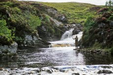 Before starting off to fish for salmon... -  article