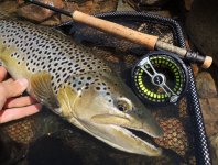 Fly Line Floating Cortland 333 TROUT Classic All Purpose