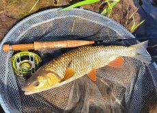 TOP Tips Of CzechNymph Ambassadors For Summer Fly Fishing - Article