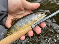 Nymphing Fly Rod Primal ZONE 2100-4