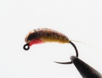 Nymph tied with Tungsten Body+ from Hanak Competition