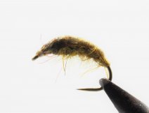 Shrimp tied with NEW SHRIMP BODY