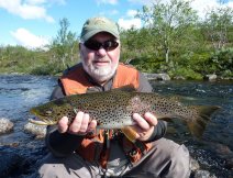 Brown Trout from Finnmark area