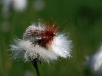 MUST HAVE Equipment For Dry Fly Fishing