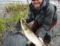 A friend's beautiful two-colored pike in great condition was caught on a trout pond.