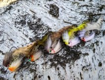 Belly Scratchers Zonker Streamers are great for big trout, but for pike, zander and perch as well!