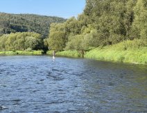 Dry fly fishing on the larger river