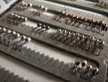 Tungsten Bead Nymphs