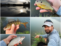 "On The Water" - August Evenings On A Sand Pit