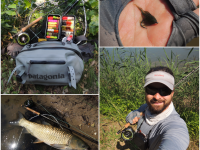 "On The Water" - Farewell To Summer Stalking