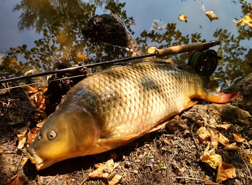 How to set up a carp rod, A guide to get you fishing