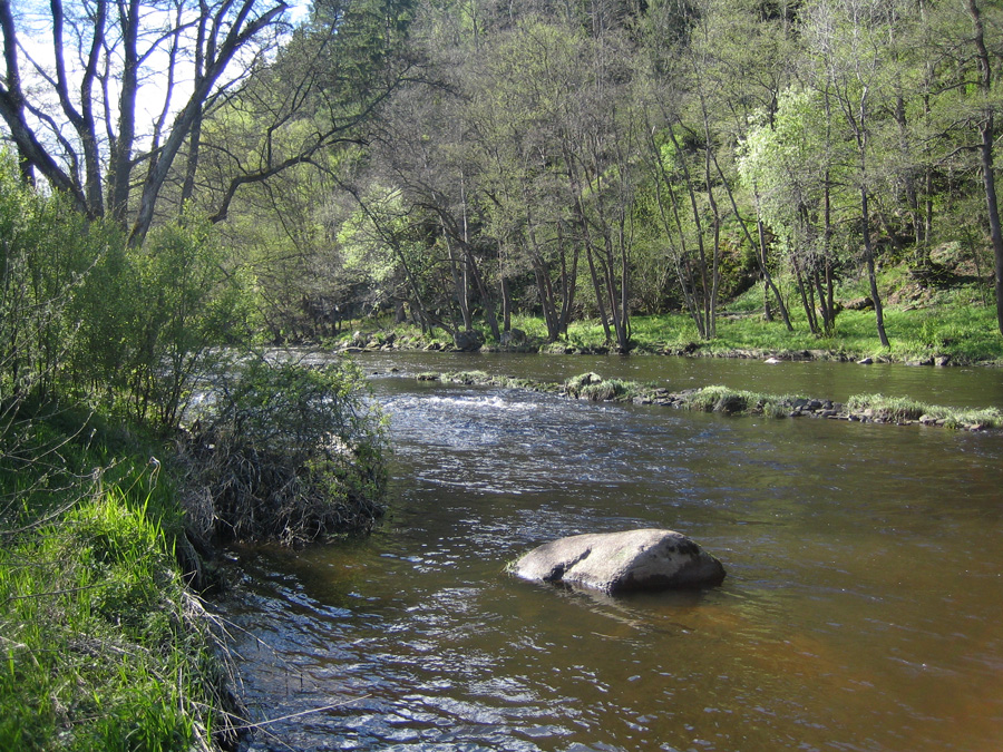 Vltava near Vyšší Brod | Fly Fishing Czech Republic | CzechNymph.com