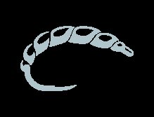 Movie from the Fario Czech Nymph Rod testing