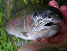 We all love rainbows