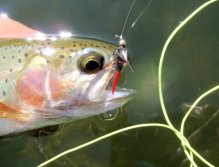 A typical Santa Elena Reserve rainbow.