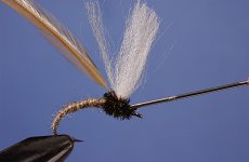 Fly tying sequence - photos