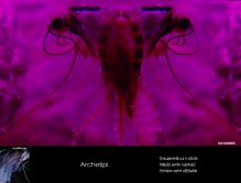 ARCHETYPES. Awareness and instinct. Pulse also reasoned form new attitudes