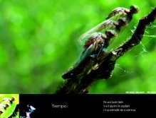 TIME. Then all will be over. Between the right and the wrong there is a range that interests us