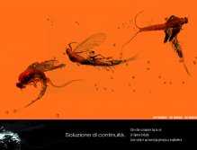 SOLUTION OF CONTINUITY. What moves has inside total relaxation. A stop is an energy ready to explode