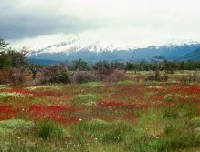 Chile- nice anytime on or off the water