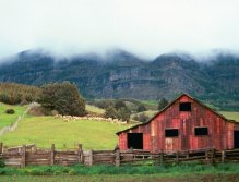 Fishing takes you to beautiful places