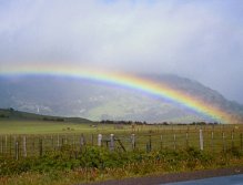 Brown trout are found at the end of the rainbow.(Patagonia)
