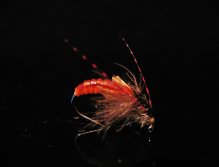 Pupa Caddis