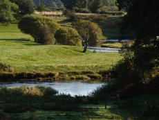 Picture gallery from river Dee