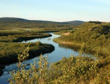 Swedish Lapland - Rostu