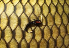 At The Vice - Carp Tuty - Step by Step Fly Tying Instructions - Gallery