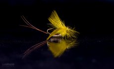 26th Open picture gallery
