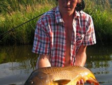 My friend's Summer Gold.