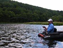 Fighting with the unknown beast.