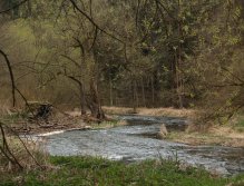 Střela in early spring