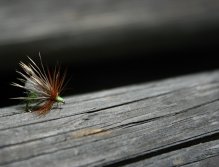 Hi-Float Caddis - Small dry fly with devastating results. Native rainbows love it!