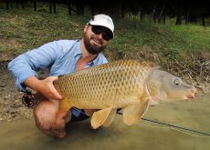 Summer Carp On The Fly Vol. II - Gallery