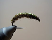 AR Spectra Flash Attractor Nymph