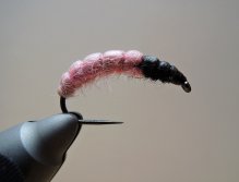 AR Light Pink Grayling Candy
