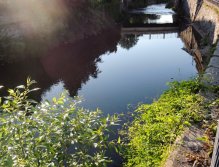 Although it is not a mountain river in the middle of forests, this has its own spell.