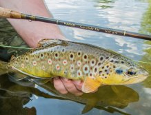 Fly Fishing in Austrian and Bavarian Waters