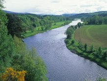 Spey River, Criagellichie
