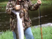 Spey River, Spring Spey Salmon, Knockando