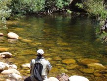 Drifting a dry fly into a little pocket