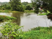 Litavka above the confluence with Beronka river